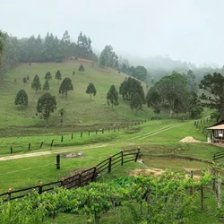 Anitápolis - SC - Cidade atendida pela Staka Estruturas com pré-moldados de qualidade