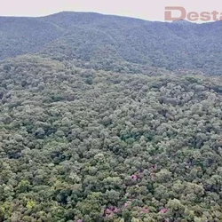 Antônio Carlos - SC - Cidade atendida pela Staka Estruturas com pré-moldados de qualidade