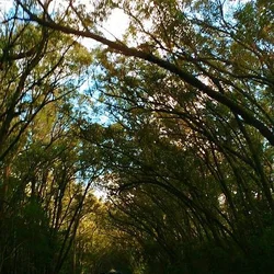 Balneário Pinhal - RS - Cidade atendida pela Staka Estruturas com pré-moldados de qualidade