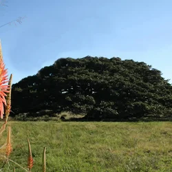 Glorinha - RS - Cidade atendida pela Staka Estruturas com pré-moldados de qualidade