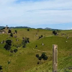 Gravatal - SC - Cidade atendida pela Staka Estruturas com pré-moldados de qualidade