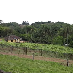 Silveira Martins - RS - Cidade atendida pela Staka Estruturas com pré-moldados de qualidade